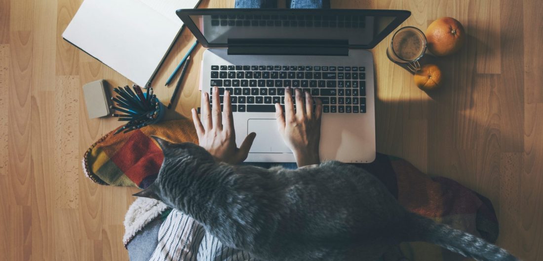 Creative space - Girl with her cat working from home.